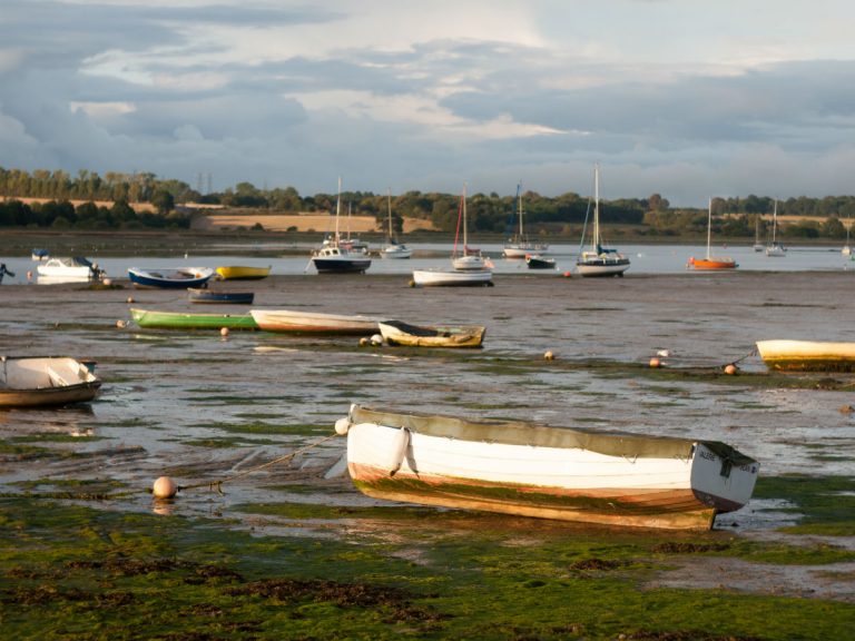 Looking to live in….Manningtree