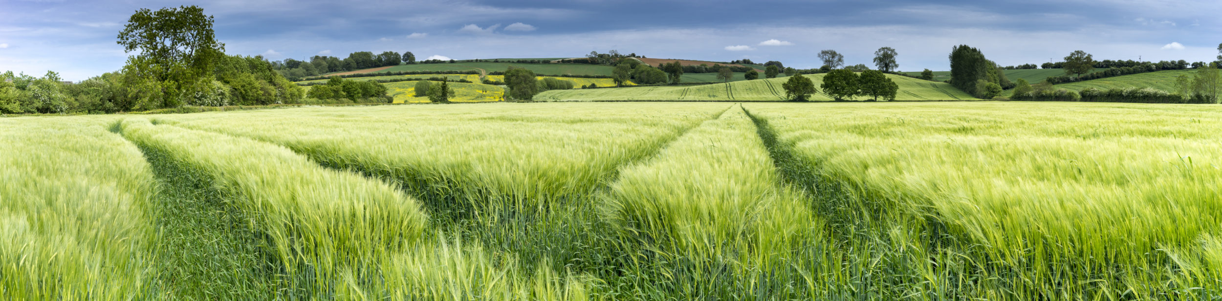 Land And Property Management | Rural Property Management