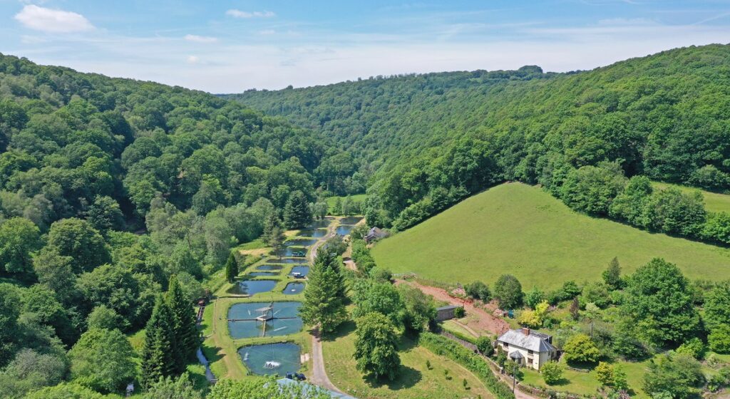 Unique and profitable fish farm for sale in the Haddon Hills of Exmoor Fenn Wright