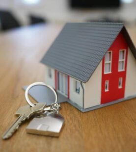Essex Letting Agents